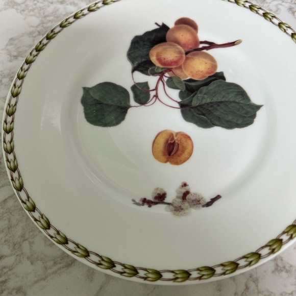 4 Queens Royal Horticultural Society Collection Salad Plates bone china England - Picture 5 of 14